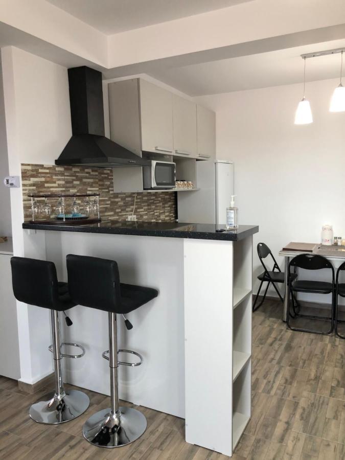 Apartament Steaua De Mare 2 エフォリエ・ノルド エクステリア 写真