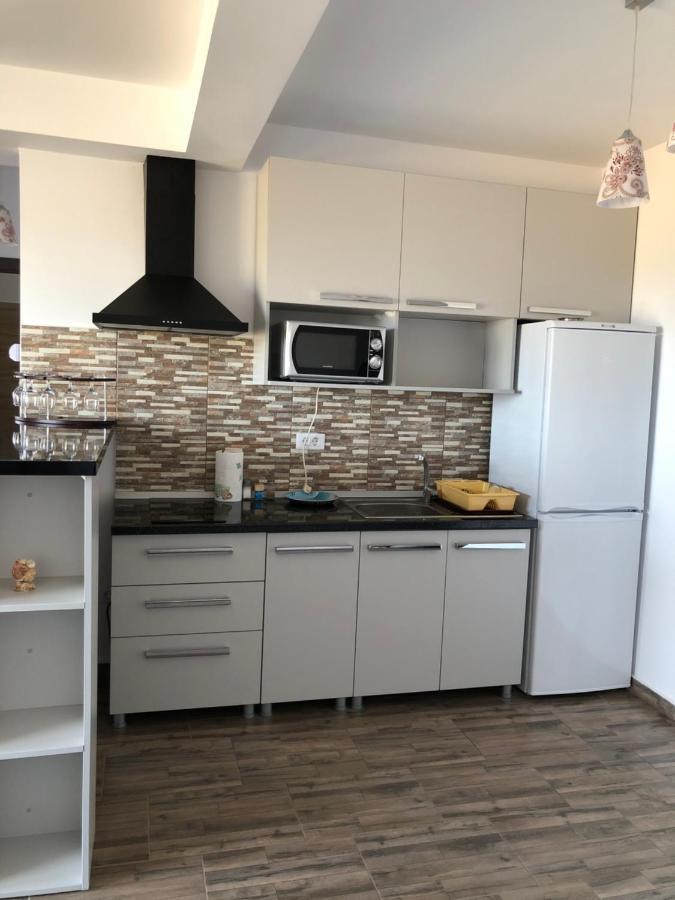 Apartament Steaua De Mare 2 エフォリエ・ノルド エクステリア 写真